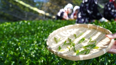 NaXjL9KihKJf2kj07OdP.jpg?w=940&h=940