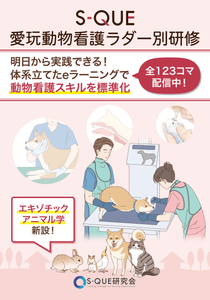 NbiHQ57x1vofo14dosdJ.png?w=940&h=940