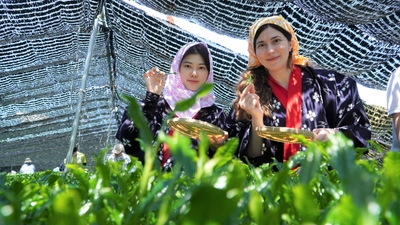 NcCX9f9SXwbNqJjI04hX.jpg?w=940&h=940