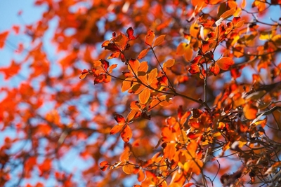 NcTOv5PRI7mWwolBSovF.jpg?w=940&h=940