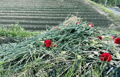 フラワーロス・ゼロを目指すお花の定期便 “FLOVER”（フラバー）お花のサブスクサイトより引用　