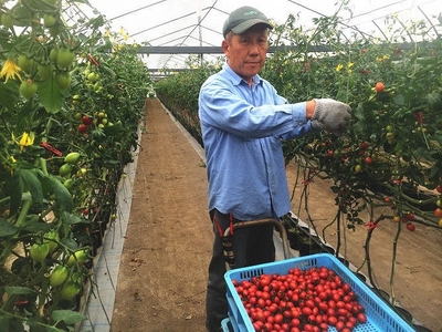 NevNZRVbU3EyITiCDYge.jpg?w=940&h=940