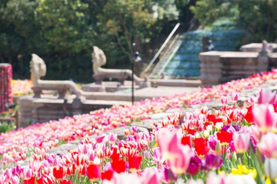 NfFKoe8fRroxJjeonFul.jpg?w=940&h=940