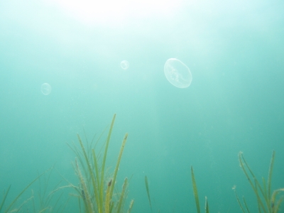 Nfb21R7bHbsKXYxVyZ2n.jpg?w=940&h=940