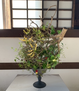 NfeKgoEQxTUFzIDydfYL.jpg?w=940&h=940