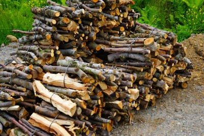 Nfj74hoMtmmoeB03EeCD.jpg?w=940&h=940