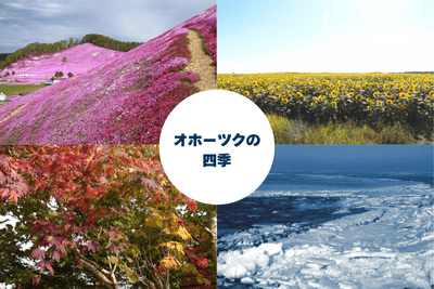 NiGpDd1JDkcxQZjCuhsA.png?w=940&h=940