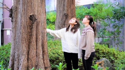 NijvQPueFQZzvNAcMXcN.jpg?w=940&h=940