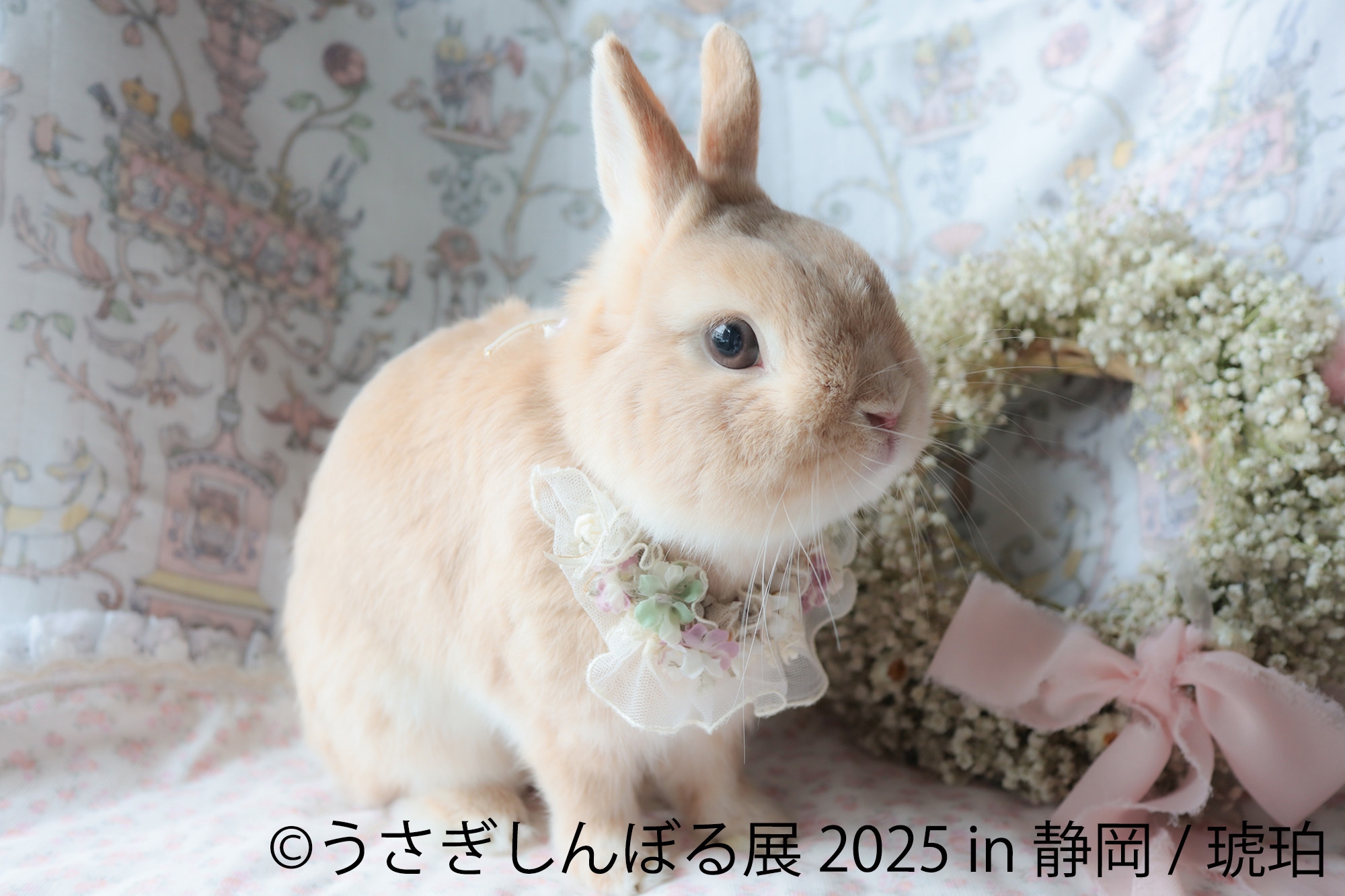 うさぎしんぼる展 展示作品5