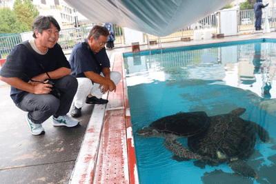 ウミガメやニシキゴイの愛らしい姿に笑顔を浮かべる島袋さん（左）