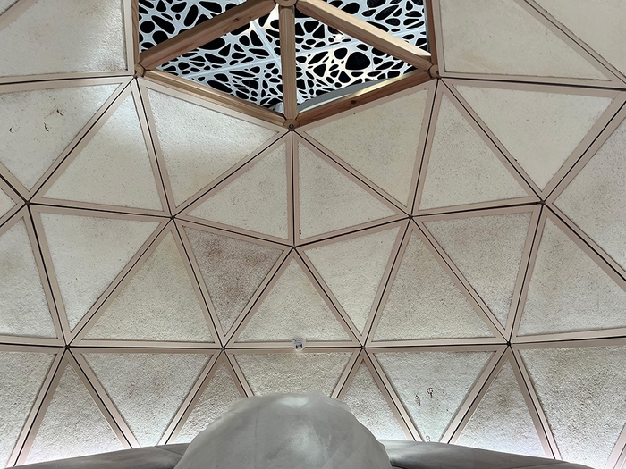 BIOTA 「関西・大阪万博パナソニックパビリオン ノモの国バイオセンサリードーム」(2025)