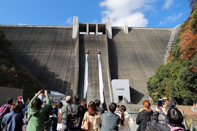 Nlrh8v0YGodGjwv6MjLs.jpg?w=940&h=940