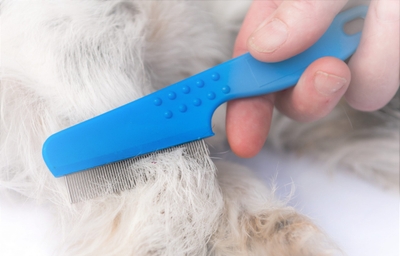 NmDWz1ZFk90JcXjvfCE9.jpeg?w=940&h=940