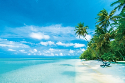 NnsNXFw6PTyn11BagMPZ.jpg?w=940&h=940