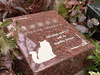 No0HIgozC4yyoxg9NyyB.jpg?w=940&h=940