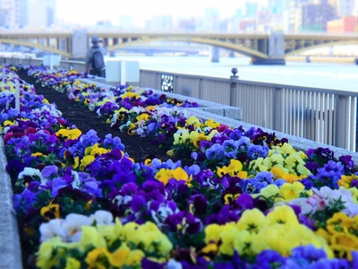 NoNMpuRnsGqAIQv08fau.jpg?w=940&h=940