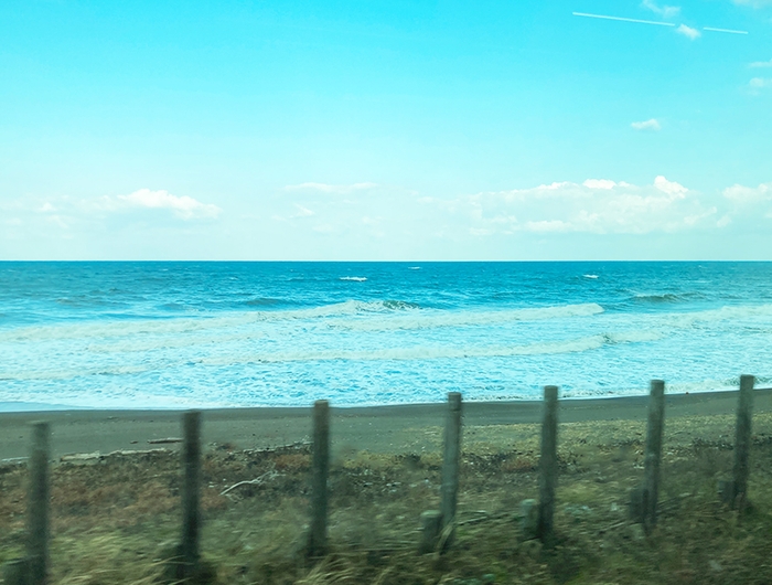 オクストン産出地近くの海岸