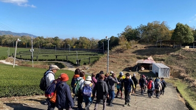 Nor2ZTqsHMLbs8FxaLiP.jpeg?w=940&h=940