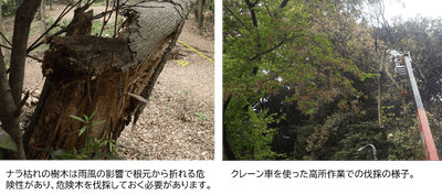 NpAuRwiSLoHDPnYtcca5.png?w=940&h=940