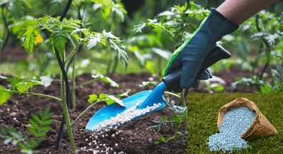 NrSKGBRNWmbfy9uqNhHq.png?w=940&h=940