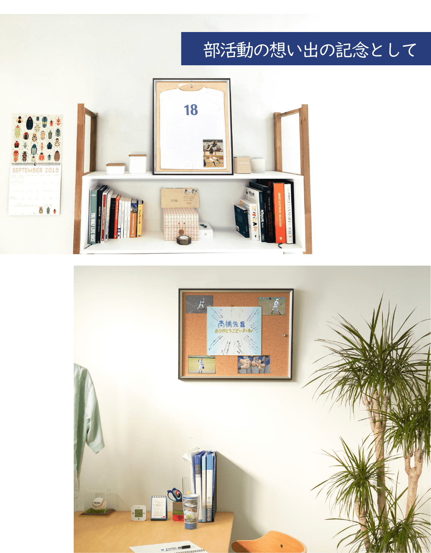 部活動の思い出 額装