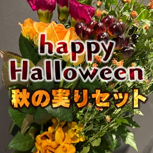 NsMURZ2OttzDfAc2KXgL.jpg?w=940&h=940