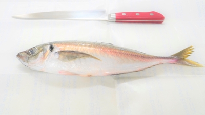 NtGz1vBFPEK48TFmJAvX.jpg?w=940&h=940