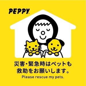 Ntdyzjo0aDezbfwursBK.jpg?w=940&h=940