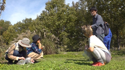 NuYRgnM3oEObl8JK8ssA.jpg?w=940&h=940