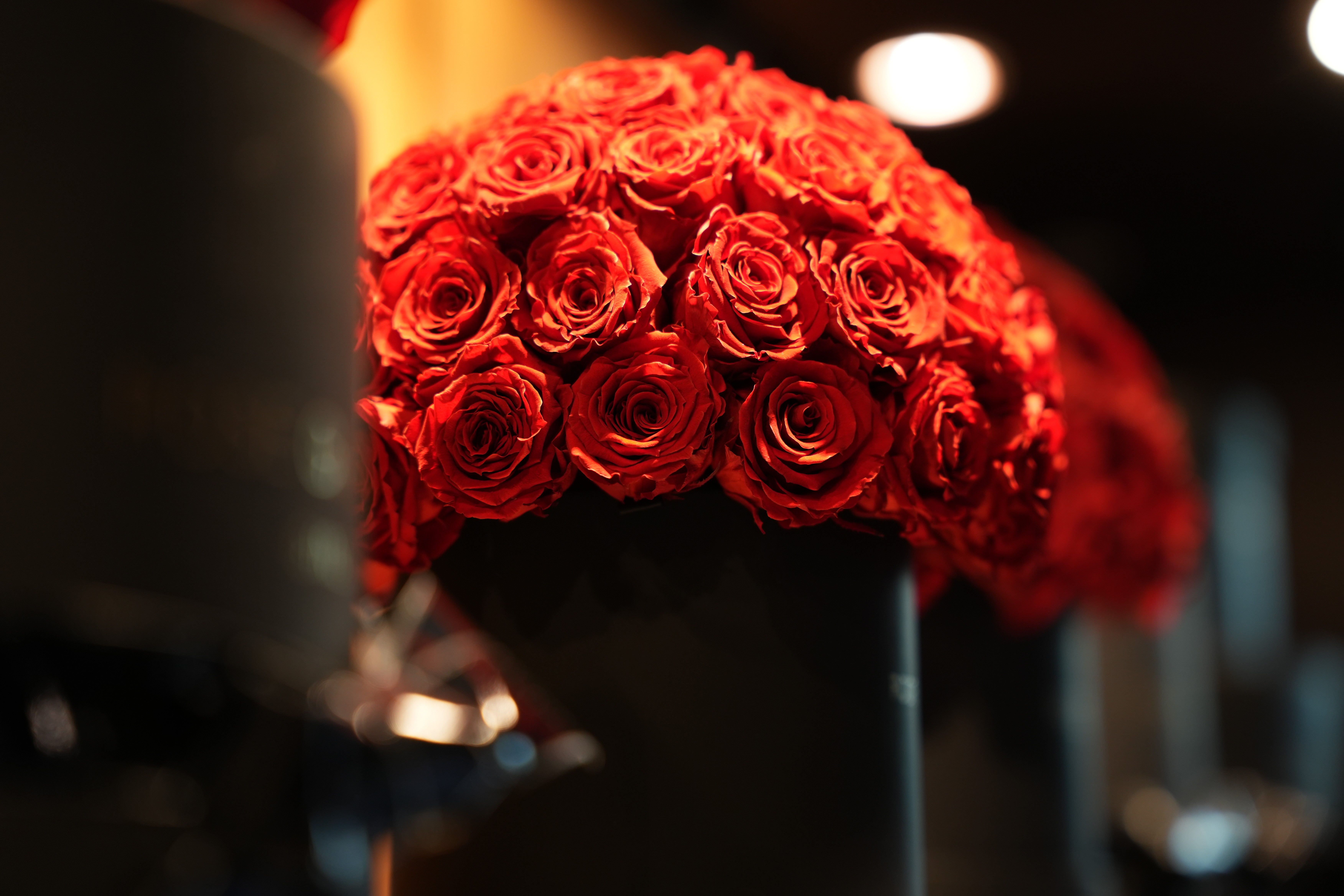 薔薇と音楽が結んだ「ROSE FOR PEACE」銀座から国宝・瑞龍寺へ