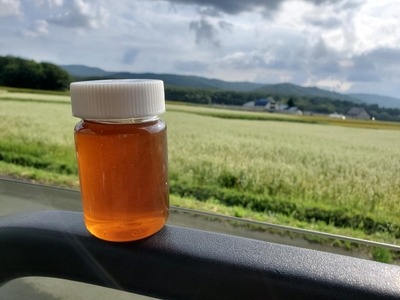 NwfORlh2j8E9Aj9lIUhp.jpg?w=940&h=940