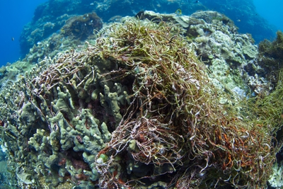 NyAWWS3wlxp5ULCGylvv.jpg?w=940&h=940