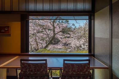 春には桜と海をお席から眺められます