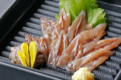 滑川市水産観光課 提供