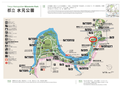 O00jewb6oPeLryuFJmKL.png?w=940&h=940