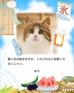 O0hgfBYEDWeyk4DLidFE.jpg?w=940&h=940