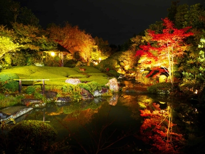 秋が深まってきたころの余香苑