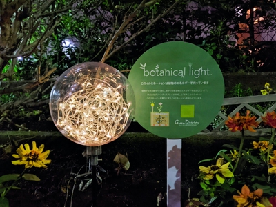 世田谷区烏山川緑道 (2022 年12月～)