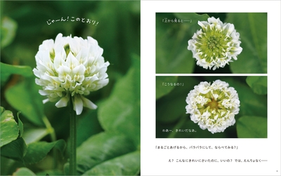 O21EW08Z9xbs7xxq7x2A.jpg?w=940&h=940