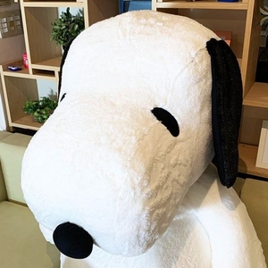 O3UxtbymTRMwtQhsVx2L.jpg?w=940&h=940