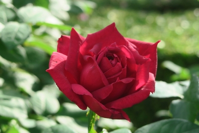 O3Xou15SBEfXGpI2O1m5.jpg?w=940&h=940