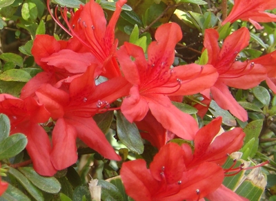 O4PyXFsn1IQMmzfMyr6G.JPG?w=940&h=940