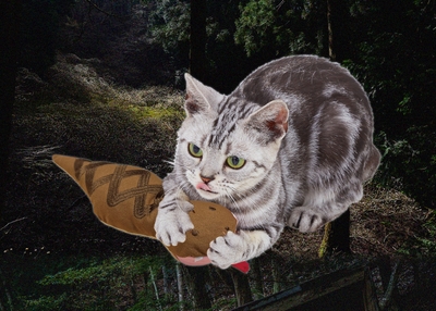 O5OsZqknloDUk3Ux8ao9.jpg?w=940&h=940