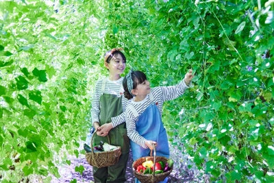 O7FzexjbrcSyUqSTpDQN.jpg?w=940&h=940