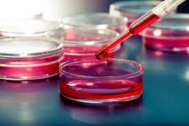 O7SiJrJb8yweHlTRZKlw.jpg?w=940&h=940