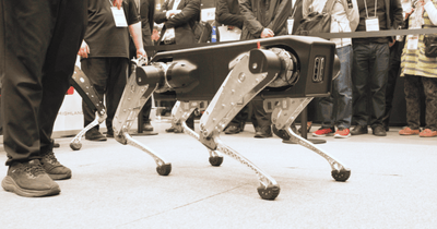 O90Qny9rfLZUnRgx71UI.png?w=940&h=940