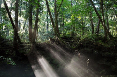 O97k7bHHJaTFHLopFWBF.jpg?w=940&h=940