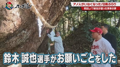 O9GnDK7QC5vcCDS0lfnh.jpg?w=940&h=940