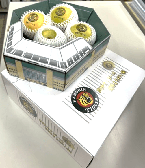 甲子園球場プレミアムケース