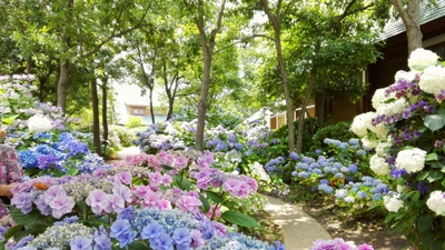 OAfiHVMaR16uGw5Sz4lk.jpg?w=940&h=940